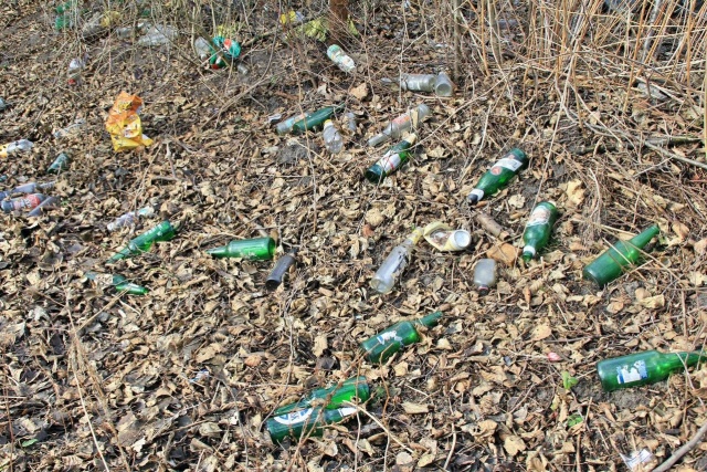 Śmieci przy rzece Płonia 27.02.2017