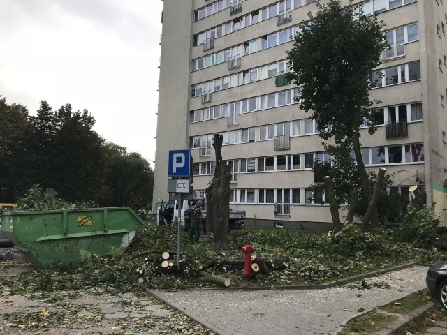 Wycinka drzew przed blokiem SM Kolejarz - fot.Słuchac 28.09.2017
