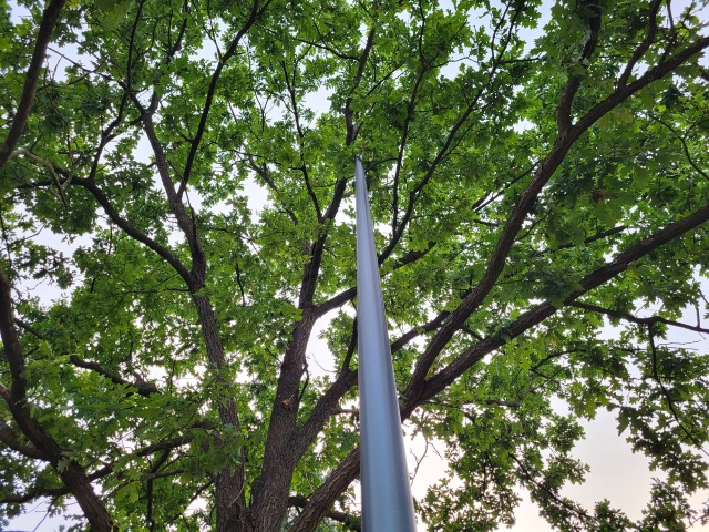 Lampa w drzewie 01.09.2023