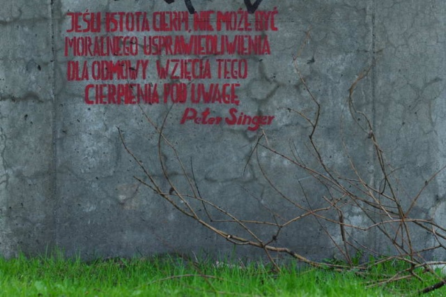 63 Plener Migawki - fot. Monika Bączyk (7) [30.03.2014] 63. Plener Migawki - "Street Art"