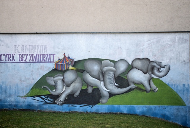 63 Plener Migawki - fot. Grzegorz Siwa (1) [30.03.2014] 63. Plener Migawki - "Street Art"