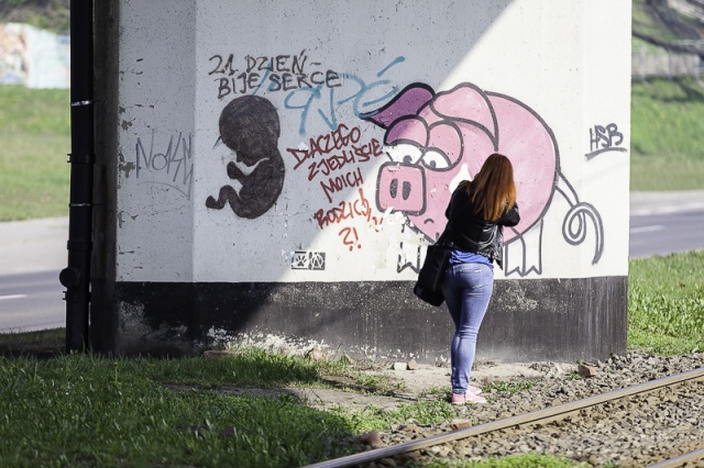 63 Plener Migawki - fot. Andrzej Kutys (4) [30.03.2014] 63. Plener Migawki - "Street Art"