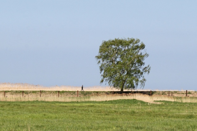 64 Plener Migawki - fot. Bożena Żylińska (1) [27.04.2014] 64. Plener Migawki - Park Natury Zalewu Szczecińskiego