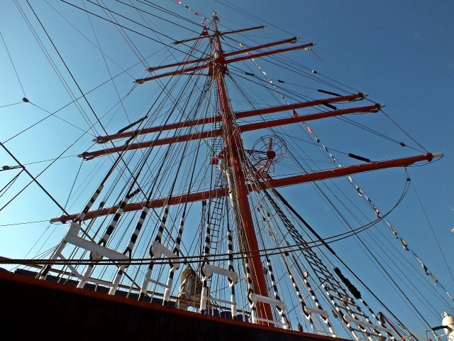 77 Plener Migawki - fot. Lucyna Stępień (6) [13.06.2015] 77. Plener Migawki - Finał Baltic Tall Ships Regatta 2015 "Emocje"