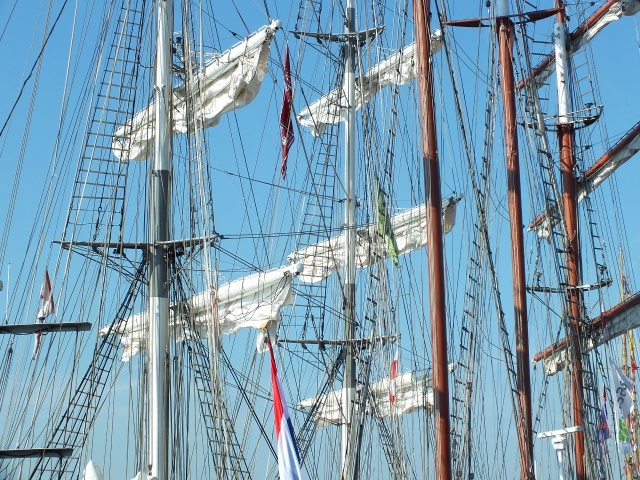 77 Plener Migawki - fot. Lucyna Stępień (7) [13.06.2015] 77. Plener Migawki - Finał Baltic Tall Ships Regatta 2015 "Emocje"