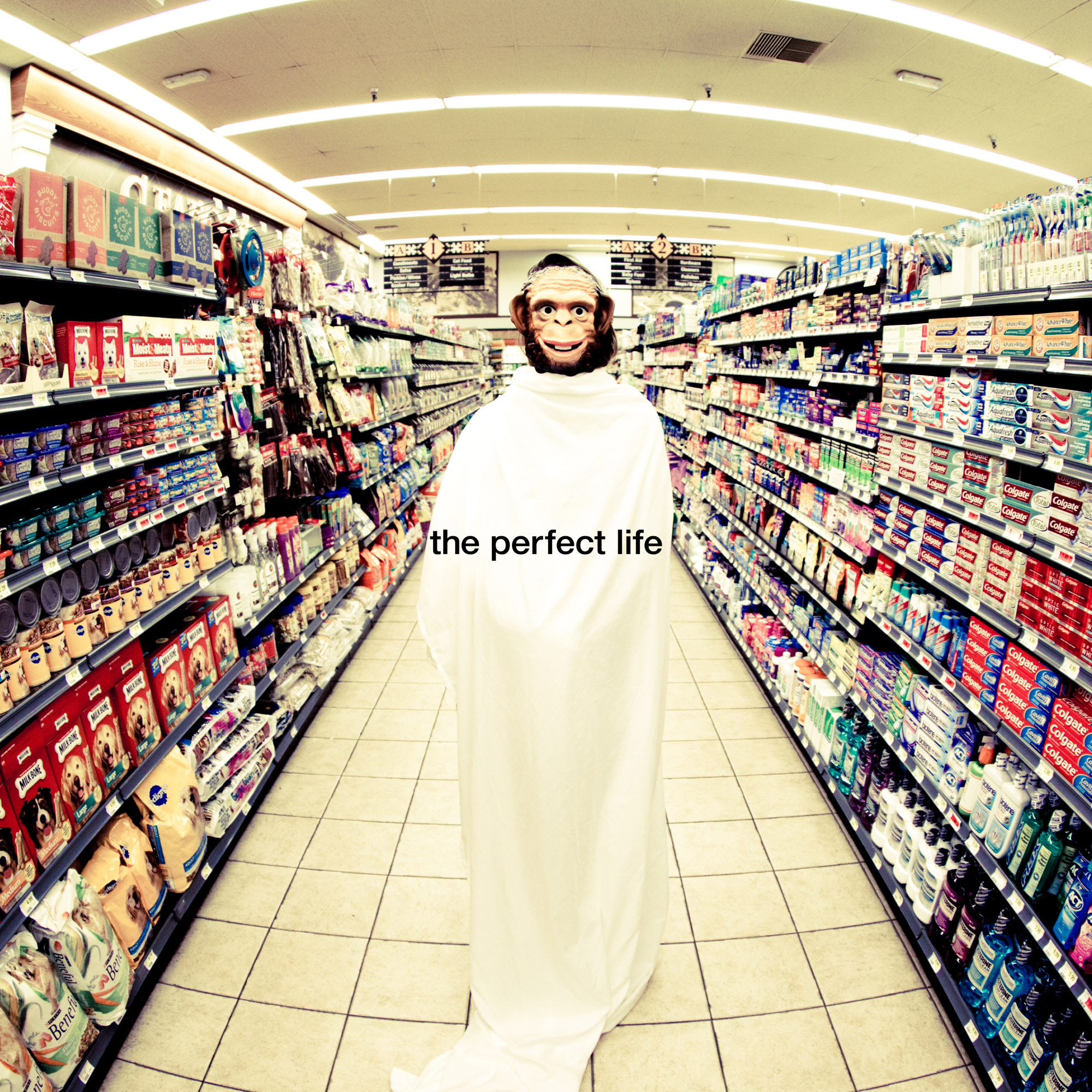 moby the perfect life