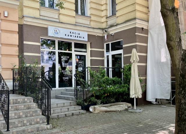 Sprawdzamy jak idzie otwieranie pierwszej kociej kawiarni w Szczecinie (12.06.2023)