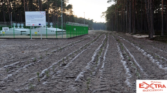 Zrzut ekranu Spółka Gaz System odtworzyła las, który wycięto pod budowę gazociągu Baltic Pipe na terenie nadleśnictwa Gryfice. Fot. Marcin Kokolus 
