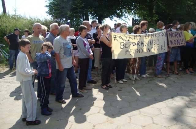 Kolejny dzień protestu przeciwko fermie norek w Przelewicach. Fot. Stowarzyszenie "Wspólna Sprawa" Pilnowali dojazdu do fermy. Teraz negocjują [ZDJĘCIA]