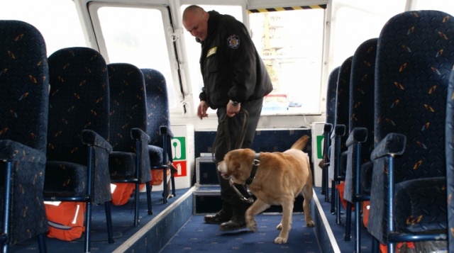 Zamiast oddać psa do schroniska, oddaj go do służby w policji - apelują szczecińscy funkcjonariusze. Fot. Materiały policji. Policjanci apelują: Zamiast do schroniska, oddaj psa do służby