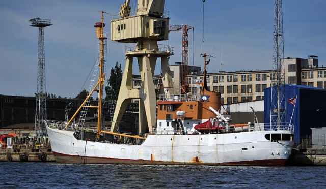 Najstarszy norweski statek do połowu fok, Polarstar, jest odbudowywany w Szczecinie. Fot. Łukasz Szełemej [Radio Szczecin] "Interesuje się nim cała Norwegia". Dawny blask odzyska w Szczecinie [ZDJĘCIA, WIDEO]