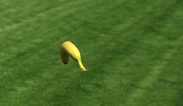 Policja aresztowała bananowego zamachowca