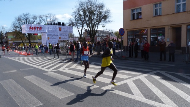 42. Maraton Dębno. Fot. Grzegorz Gibas [Radio Szczecin] Tysiące biegaczy wzięło udział w maratonie w Dębnie [ZDJĘCIA, WIDEO]