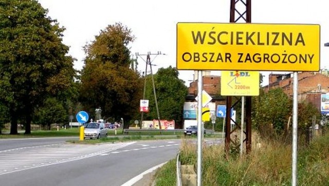 Szczecin: Zagrożenie wścieklizną odwołane