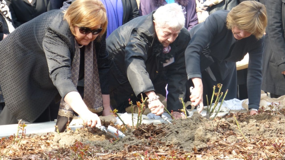 Anna Komorowska i Daniela Schadt zasadziły krzaki róży na masowym grobie na terenie obozu Ravensbrück. Fot. Dariusz Michalski