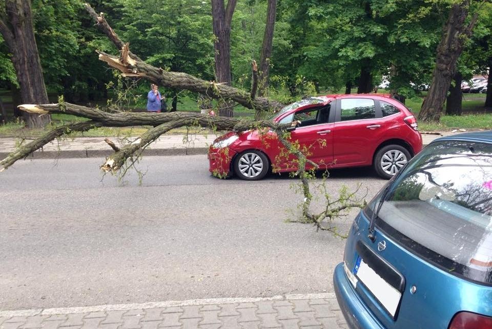 Na ulicy Starkiewicza na stojący samochód przewróciło się drzewo. Fot. Anna Kwiecień