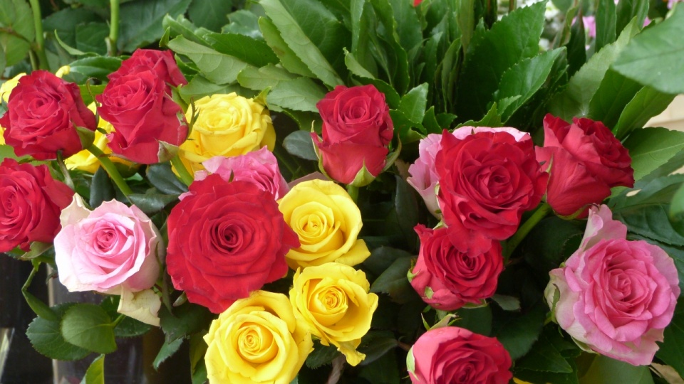 Kwiaty to najczęściej kupowany prezent na Dzień Mamy. Fot. Maciej Maćkowiak [Radio Szczecin]