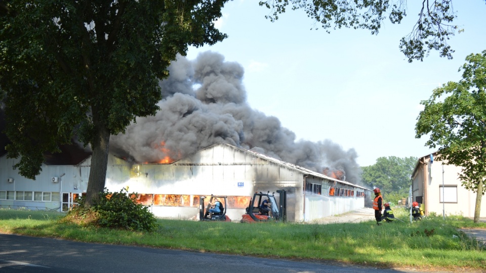 Ogień w fabryce wybuchł we wtorek po południu. Fot. Rafael Żełobowski