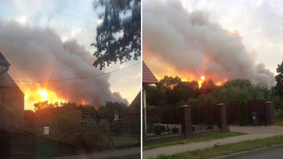 W miejscowości Sokoliniec w gminie Recz płonie 50 hektarów zboża. Fot. Renata Ostrowska