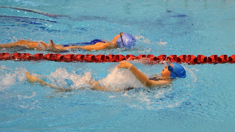 Ponad 250 uczniów szczecińskich szkół podstawowych rywalizuje w mistrzostwach Szczecina w pływaniu Alsecco Cup. Fot. Łukasz Szełemej [Radio Szczecin]