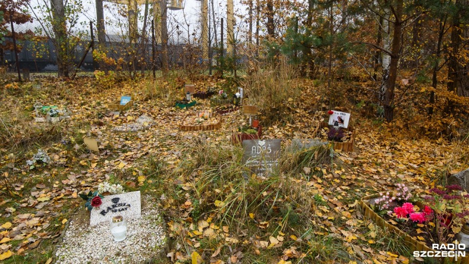 To koniec cmentarza dla zwierząt na szczecińskim osiedlu Majowym. Byli właściciele psów, kotów i chomików do 1 grudnia mają posprzątać pamiątki z "grobów" swoich pupili. Fot. Konrad Nowak [Radio Szczecin]