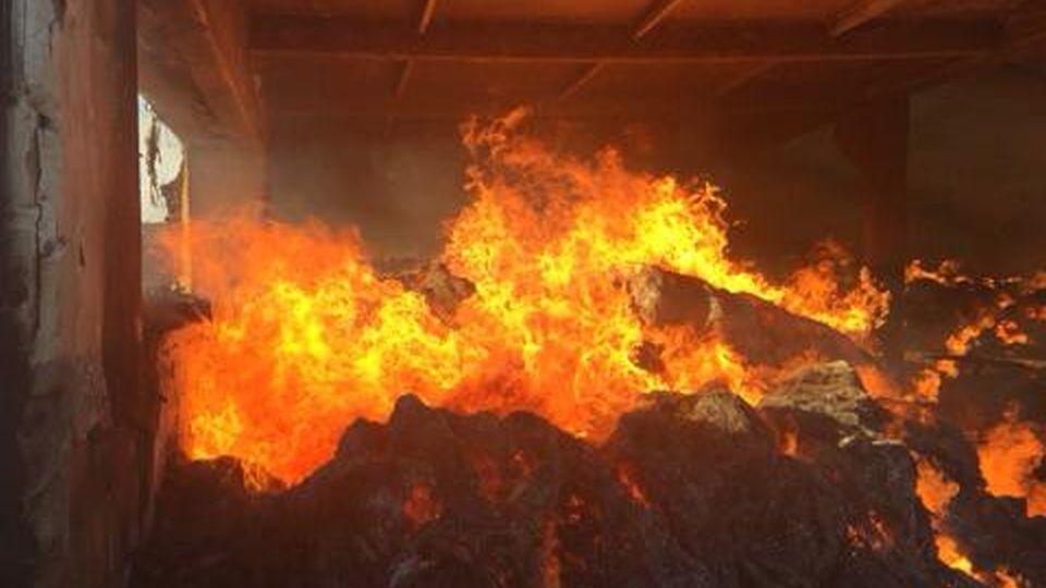 Trzynaście zastępów strażaków walczyło z pożarem dwóch stodół w miejscowości Lubogoszcz w powiecie szczecineckim. Fot. Straż Pożarna