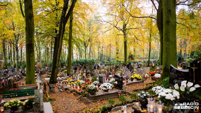Cmentarz przy ul. Tanowskiej jest głównym komunalnym i jedynym czynnym cmentarzem Polic od 1962 roku. Fot. Konrad Nowak [Radio Szczecin] Otoczony puszczą na osiedlu Gryfitów, czyli cmentarz w Policach [WIDEO, ZDJĘCIA]