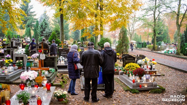 Cmentarz przy ul. Tanowskiej jest głównym komunalnym i jedynym czynnym cmentarzem Polic od 1962 roku. Fot. Konrad Nowak [Radio Szczecin] Otoczony puszczą na osiedlu Gryfitów, czyli cmentarz w Policach [WIDEO, ZDJĘCIA]