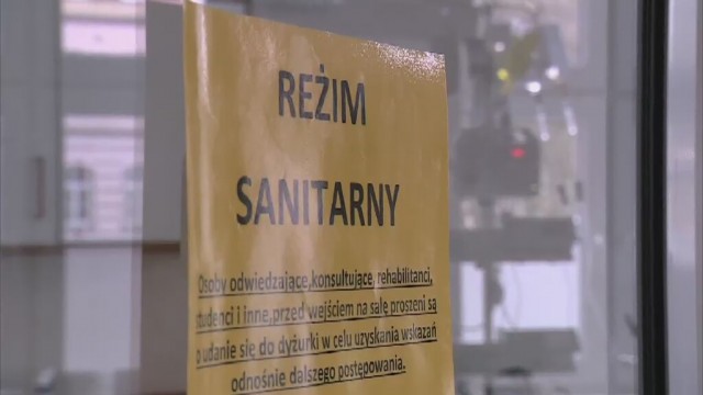 Kraków: Sześciu chorych na świńską grypę [WIDEO]