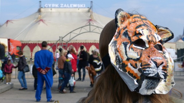 Nie będzie zakazu dla cyrków z tresowanymi zwierzętami w Szczecinie