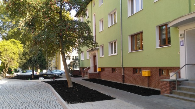 Jeszcze więcej zielonych podwórek w Szczecinie [ZDJĘCIA]