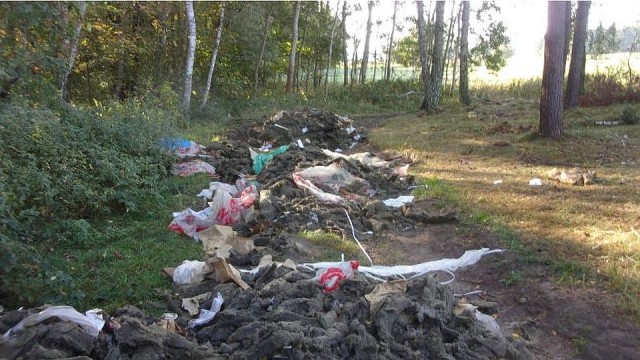 Śmieci z Niemiec w lesie niedaleko Dobrej Szczecińskiej