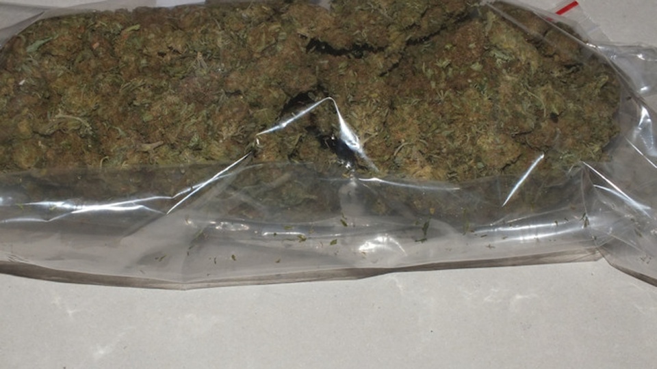 5,5 kg marihuany o wartości ponad 200 tysięcy złotych zabezpieczyli koszalińscy policjanci. Fot. Materiały policji
