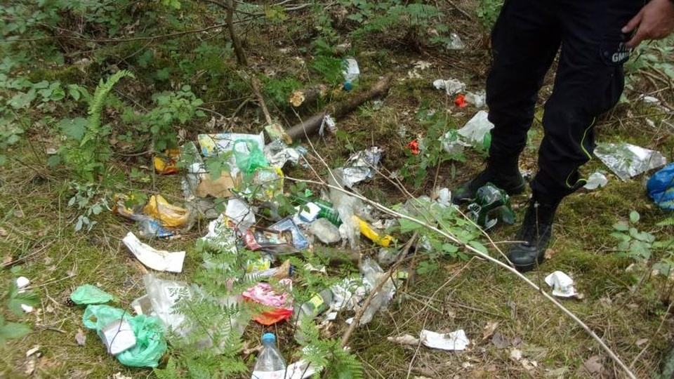 Śmieci znaleźli w lesie strażnicy gminni z Dobrej. Źródło fot. www.dobraszczecinska.pl