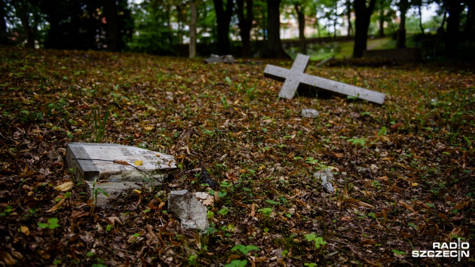 Cmentarz na szczecińskim Golęcinie. Fot. Konrad Nowak [Radio Szczecin]
