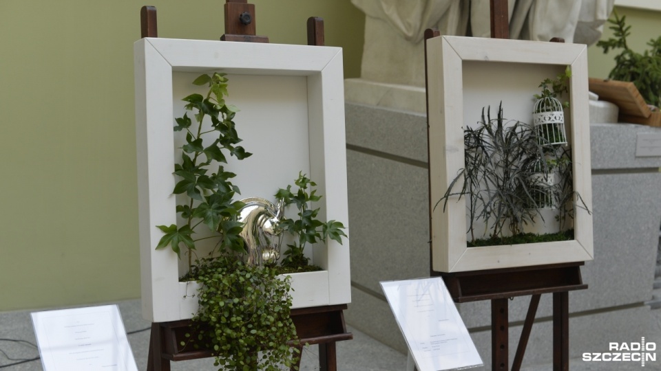 Obrazy z roślin można oglądać na dziedzińcu Muzeum Narodowego przy ul. Staromłyńskiej w Szczecinie. Fot. Alicja Szymańska [Radio Szczecin]