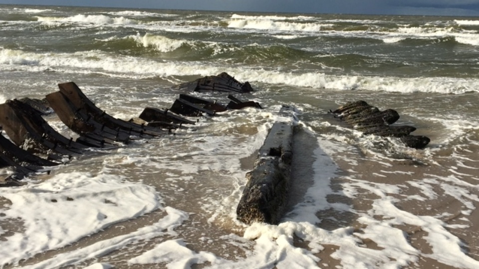 Zabytek wyrzucił szalejący w ostatnich dniach na morzu sztorm. Fot. Czytelnik Rafał