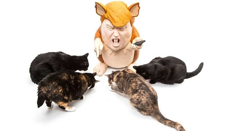 Donald Trump jako szczurzy pokemon rozkazujący kotom - taką artystyczną wizję kandydata na prezydenta Stanów Zjednoczonych stworzyła szczecińska artystka Monika Szpener. Fot. Andrzej Golc