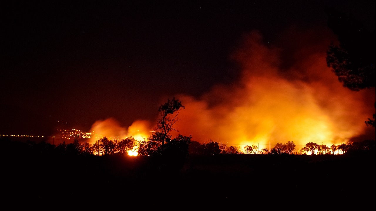 Kalifornia: wzrasta liczba ofiar pożarów