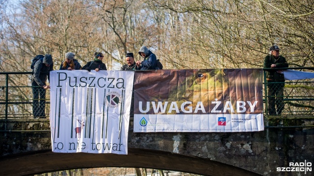 Fot. Olaf Nowicki [Radio Szczecin] Protest w Puszczy Bukowej. "Chcemy puszczy, a nie plantacji drewna" [WIDEO, ZDJĘCIA]