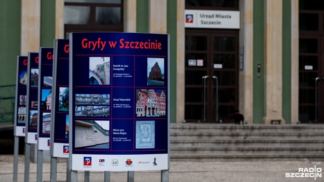 Ponad setka gryfów w Szczecinie. Gdzie ich szukać [ZDJĘCIA]