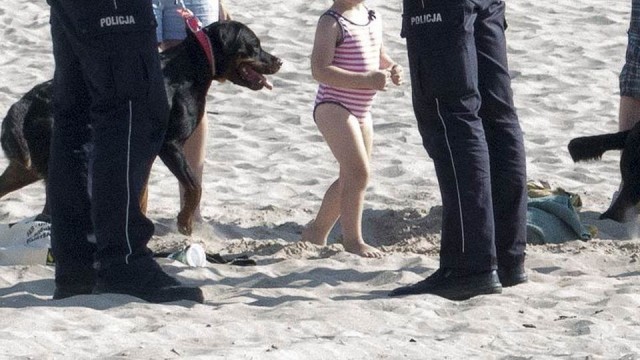 Świnoujście: rottweiler zaatakował dziecko, a jego właścicielka - policjanta