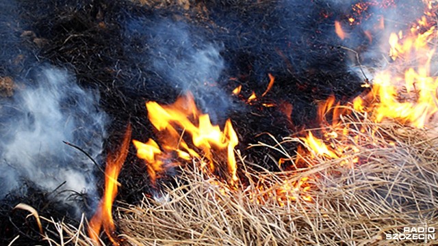 Pożary w Grecji. Jest apel do mieszkańców i turystów