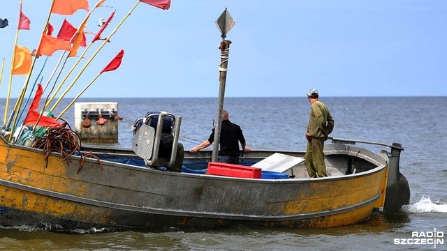 Polscy rybacy wyłowią mniej dorszy Rozmowy w Luksemburgu