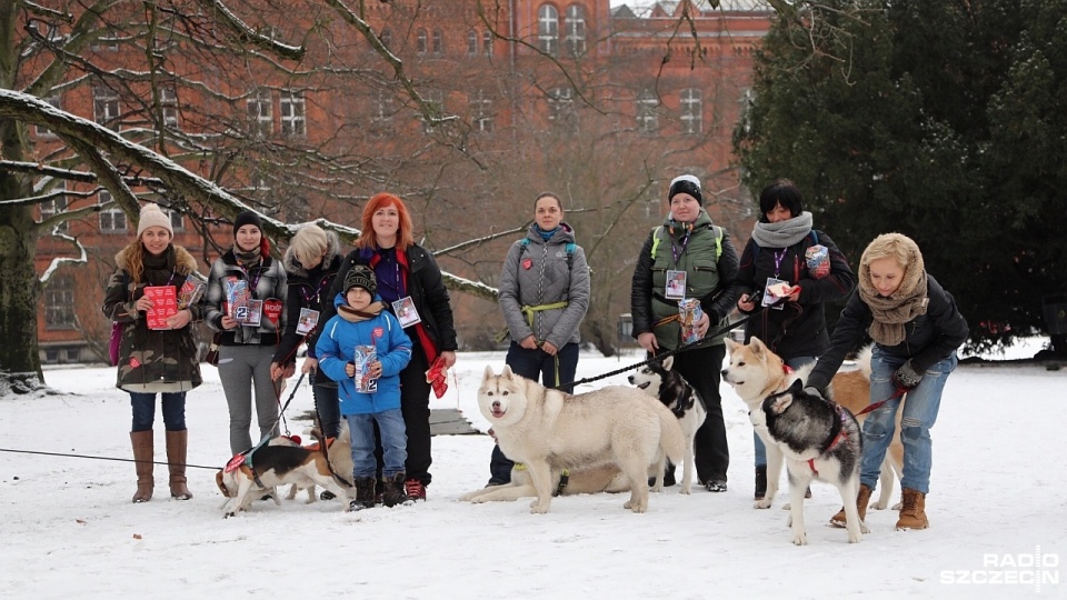 Na placu Tobruckim, przy ulicy Taczaka, na Niebuszewie czy Łaszowni można spotkać około 30 wolontariuszy z psami. Fot. Weronika Łyczywek [Radio Szczecin]