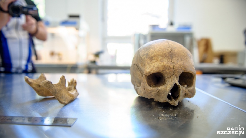 Szkielet "wampira" został odnaleziony kilka lat temu podczas prac archeologicznych prowadzonych na terenie Kwartału Dominikańskiego w Kamieniu Pomorskim. Jego pochówek odbył się prawdopodobnie w XVI lub XVII wieku. Fot. Olaf Nowicki [Radio Szczecin]