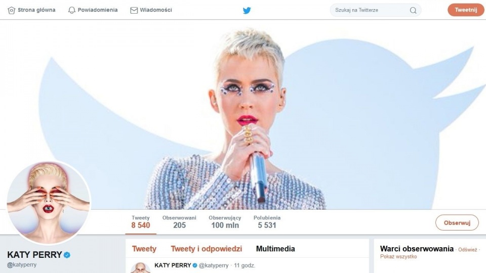 Katy Perry ma 100 milionów fanów na Twitterze. Fot. twitter.com/katyperry