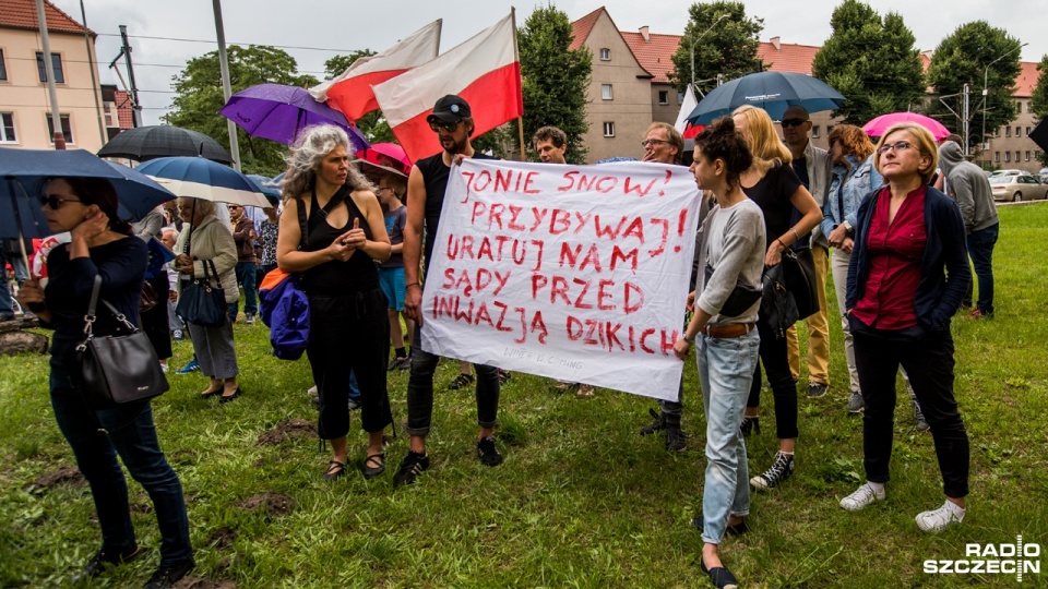 Pikietujący zawiesili też na drzwiach siedziby PiS w Szczecinie plakat z Temidą, po to, by przypomnieć jak ważna jest sprawiedliwość. Fot. Weronika Łyczywek [Radio Szczecin]