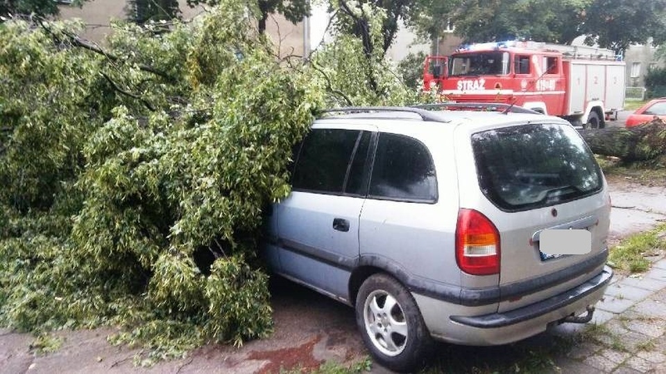 Burze powaliły setki drzew. Fot. KP PSP w Braniewie