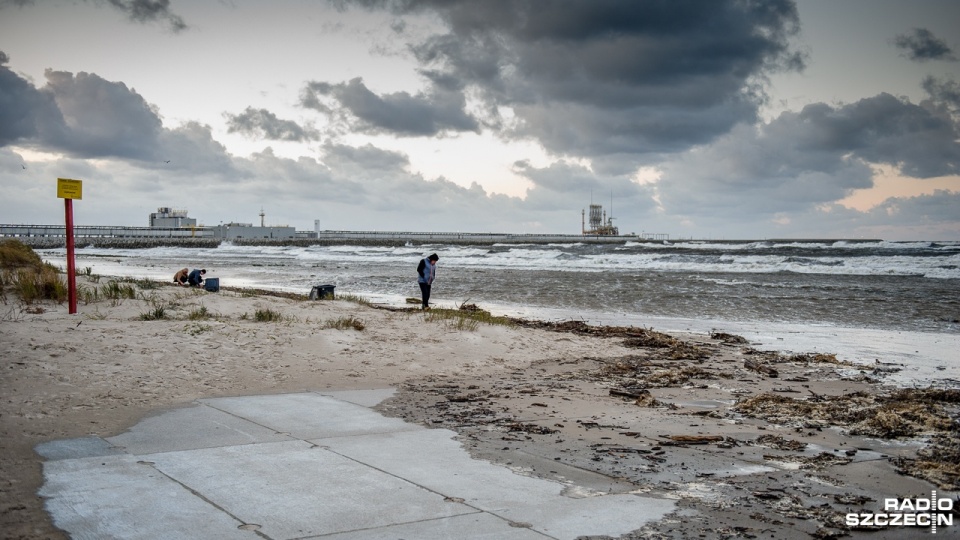 Woda sięga aż wydm, pozostawiając niewielki pas plaży dla spacerujących nad Bałtykiem. Fot. Olaf Nowicki [Radio Szczecin]